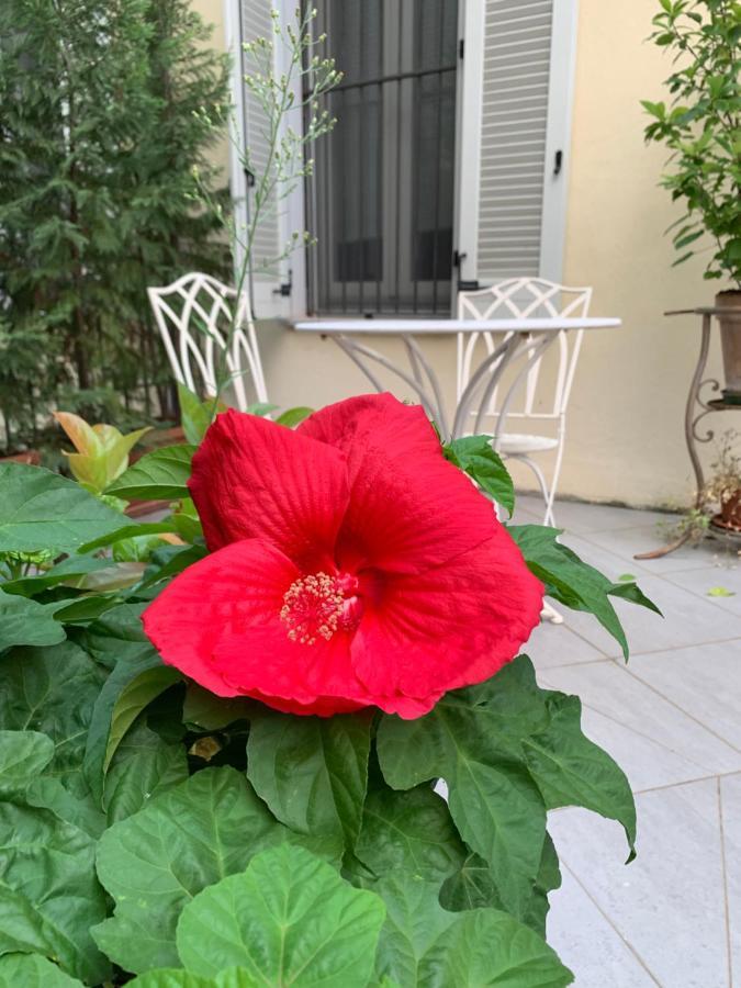 La Terrazza Vercelli Bed & Charme Zewnętrze zdjęcie