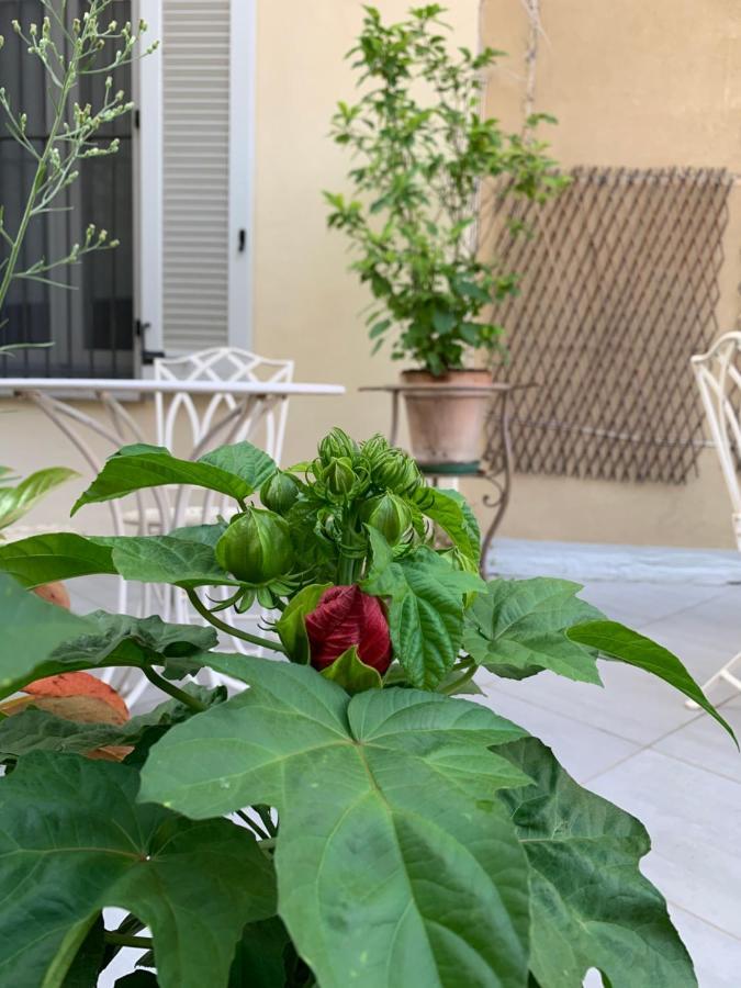 La Terrazza Vercelli Bed & Charme Zewnętrze zdjęcie